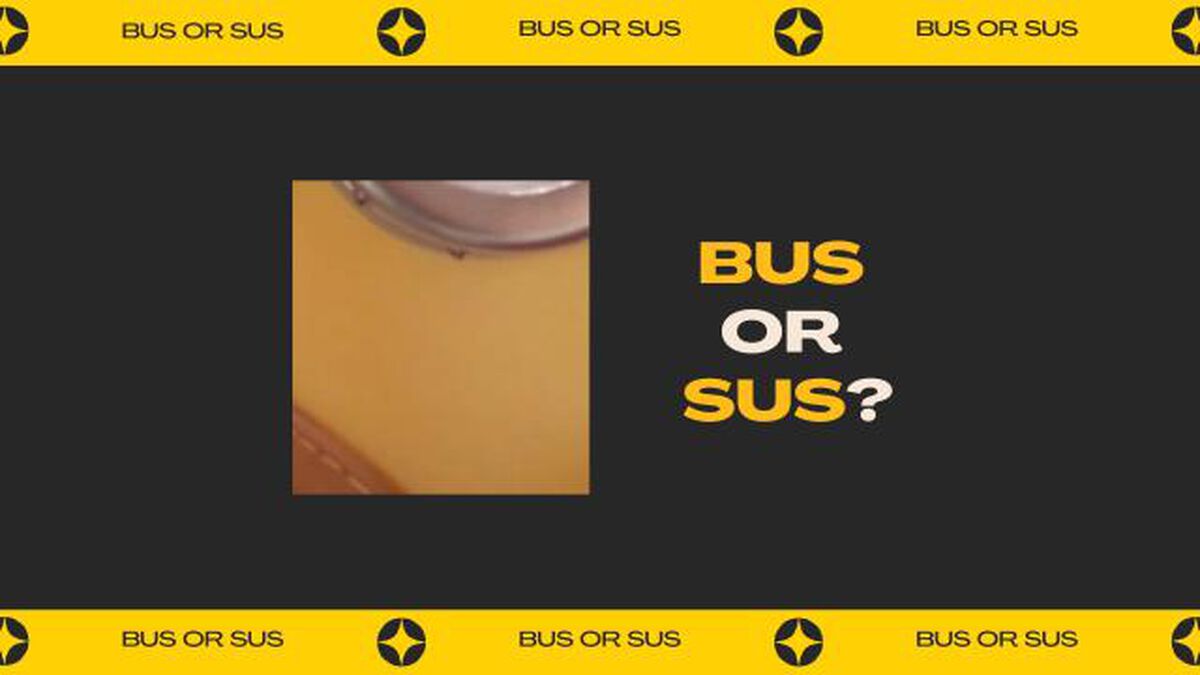 Bus or Sus? image number null